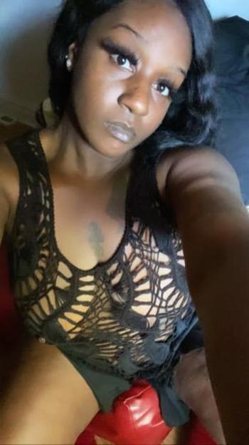 7174478444, female escort, York